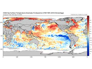 La Nina Diprediksi Berlangsung hingga Maret 2025, Indonesia Diminta Siaga